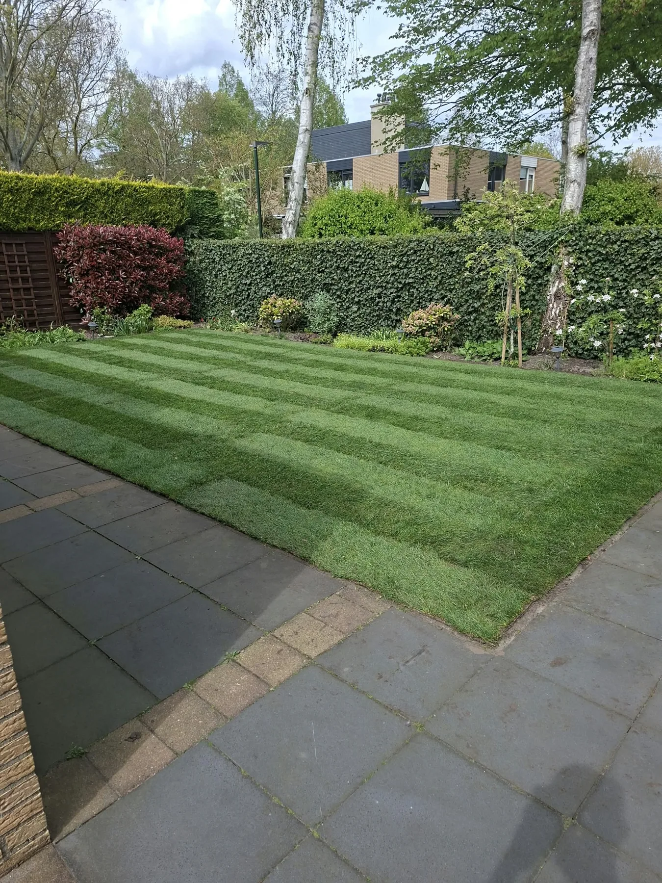 Onderhouden gazon
